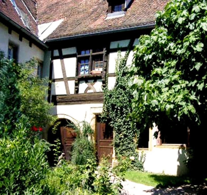 La Grenouille Διαμέρισμα Turckheim Εξωτερικό φωτογραφία